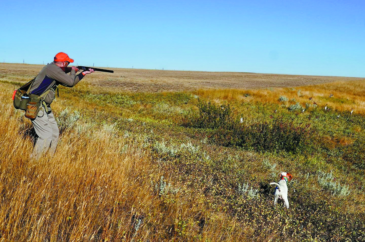 Dave Brown Outfitters