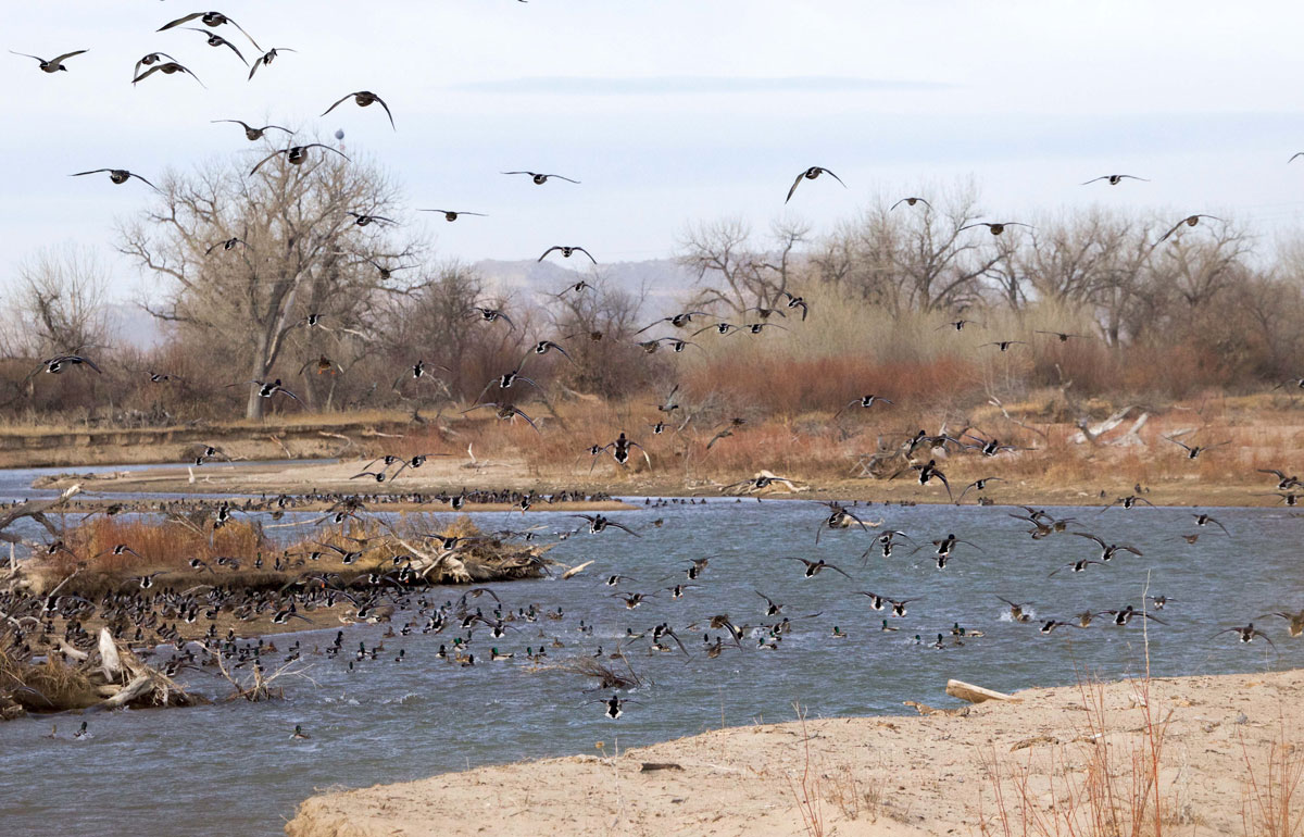 The Signature Lodge by Cheyenne Ridge Outfitters