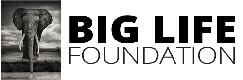 Biglife Logo S2o Design - Perfect Landscape Design - Desktop