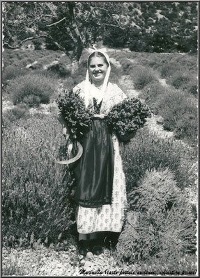 Jeune femme dans un champ de lavande
