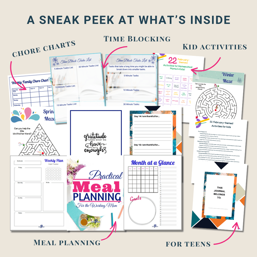 Screenshot of the Practical Printables System Vault with categorized printable resources