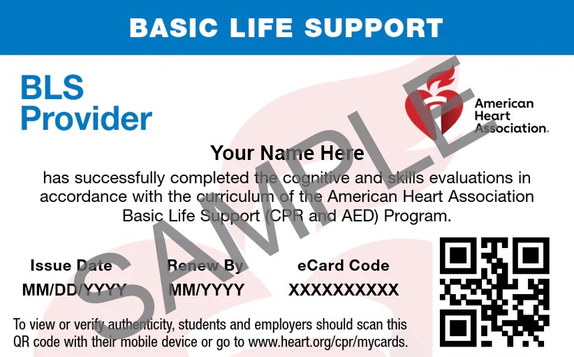 Basic Life Support Bls Certification Surefire Cpr