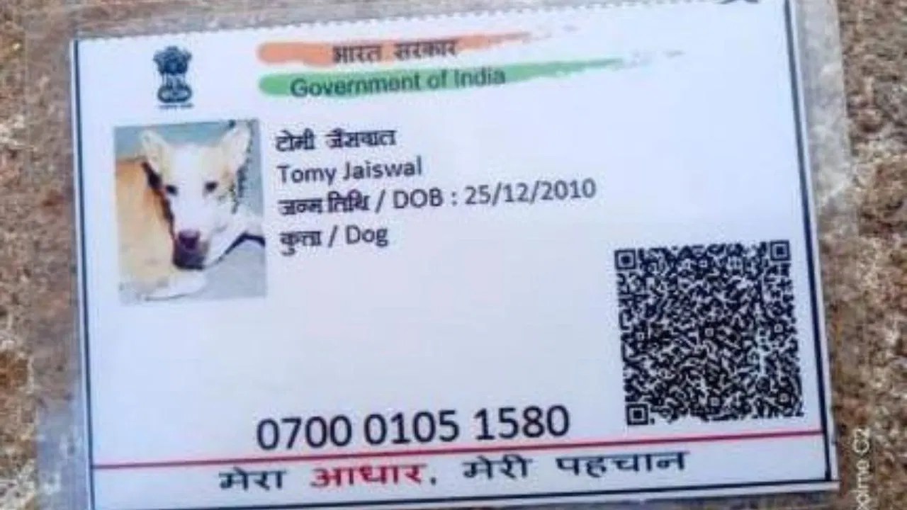Dog Aadhaar card viral