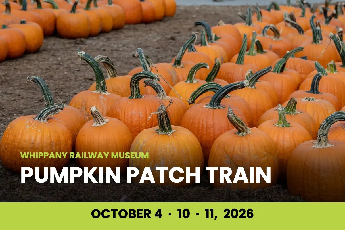 Rows of orange pumpkins in a patch with a green banner reading Whippany Railway Museum Pumpkin Patch Train, October 4, 10 and 11, 2026