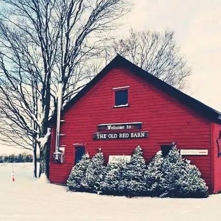 Evergreen View Farm