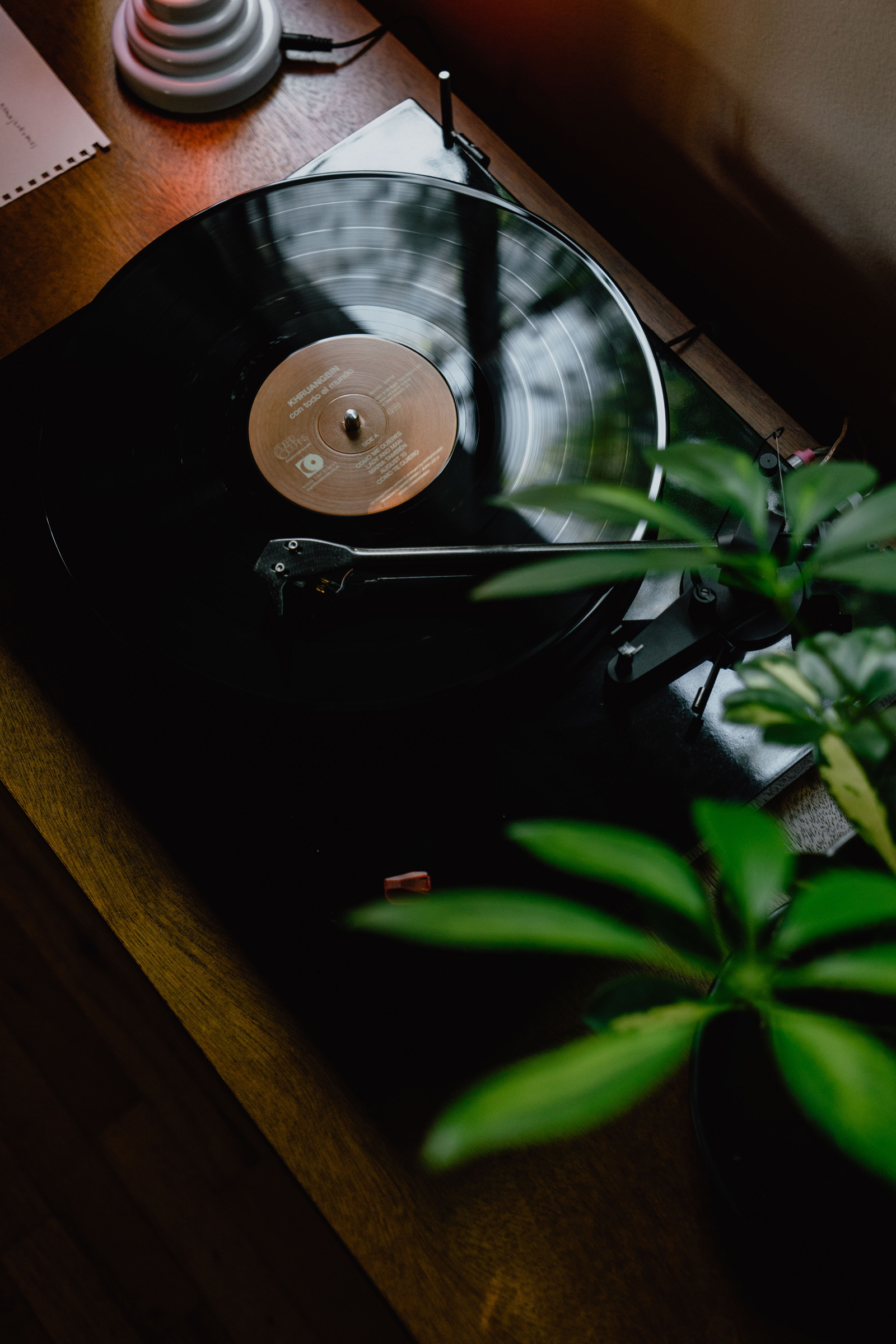 Vinyl Record Player