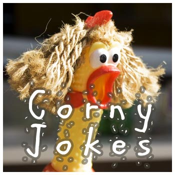 I want to kick summer off with some laughs. Corny Jokes | Short-Funny.com