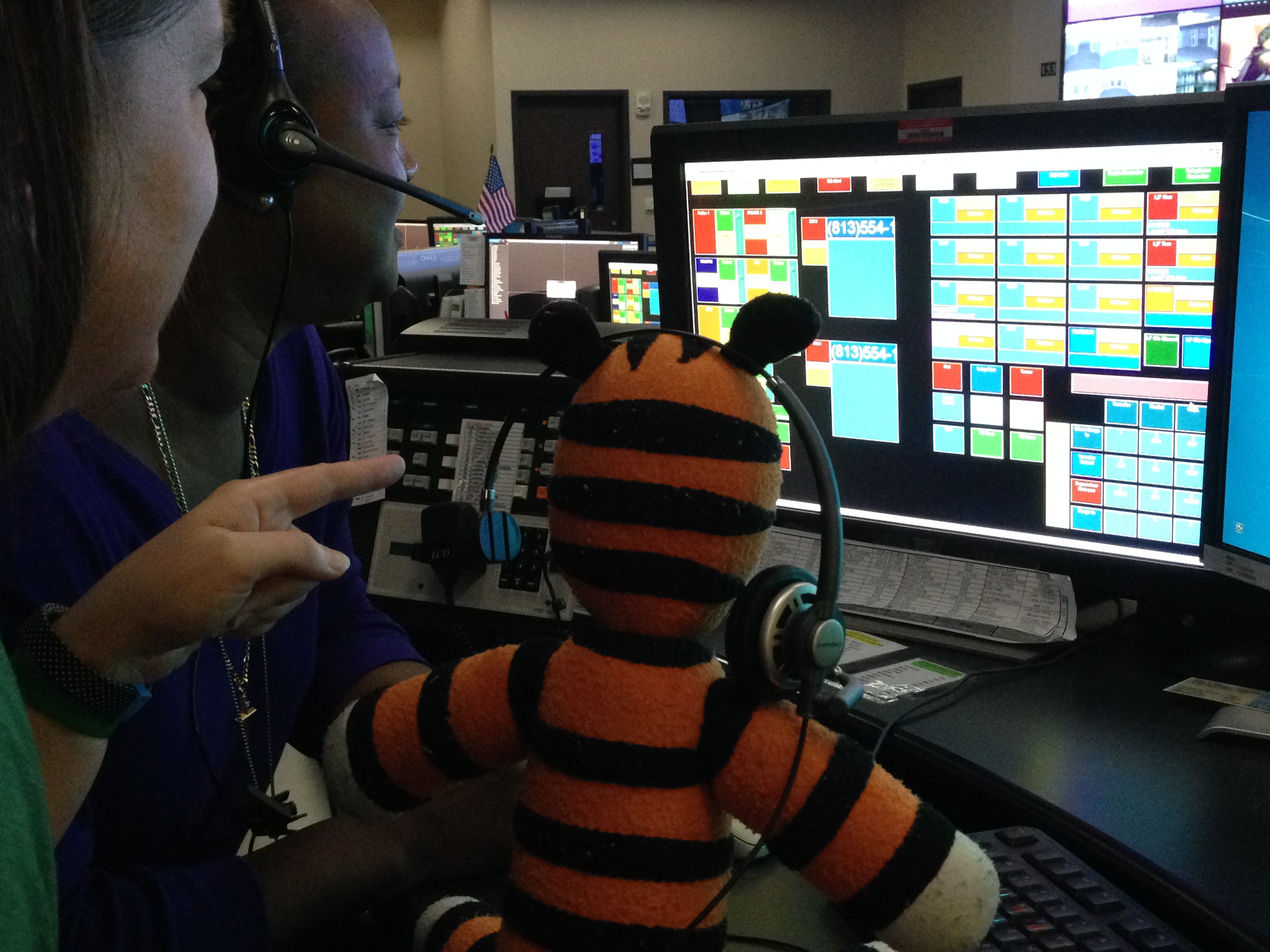 Tale of the Tiger Customer Service Frank's Blog