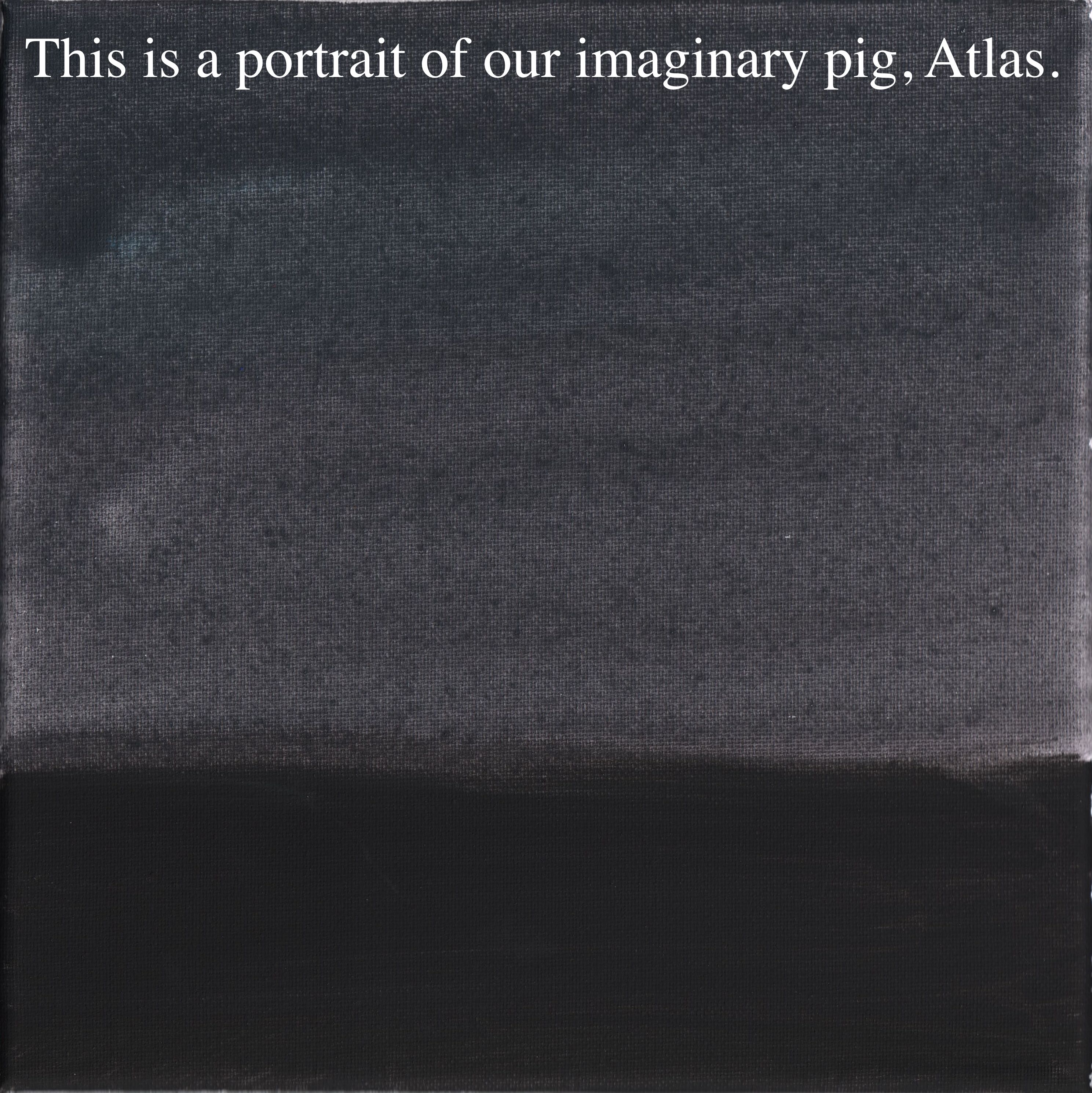 imaginary pig