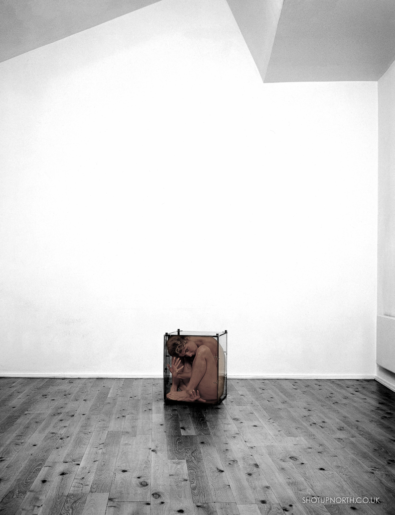 Rob Maclese