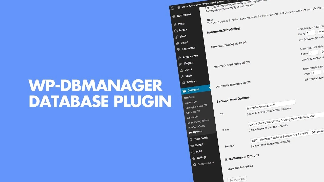 Use WP-DBManager WordPress Database Plugin