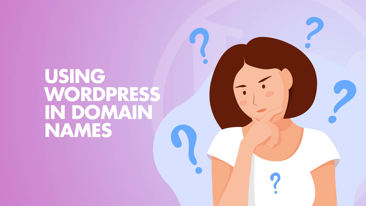 using WordPress Domain Names