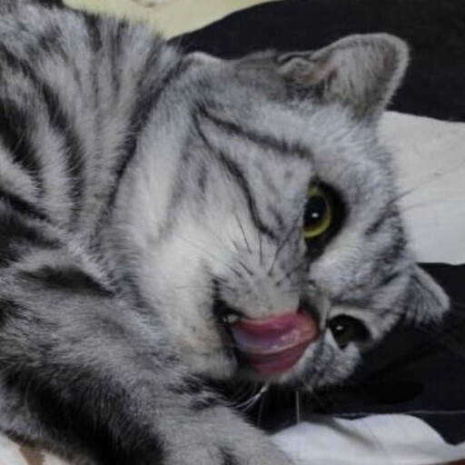 Github Shuaihu Han Seda - Colorful Image Collection - Ultra HD Quality