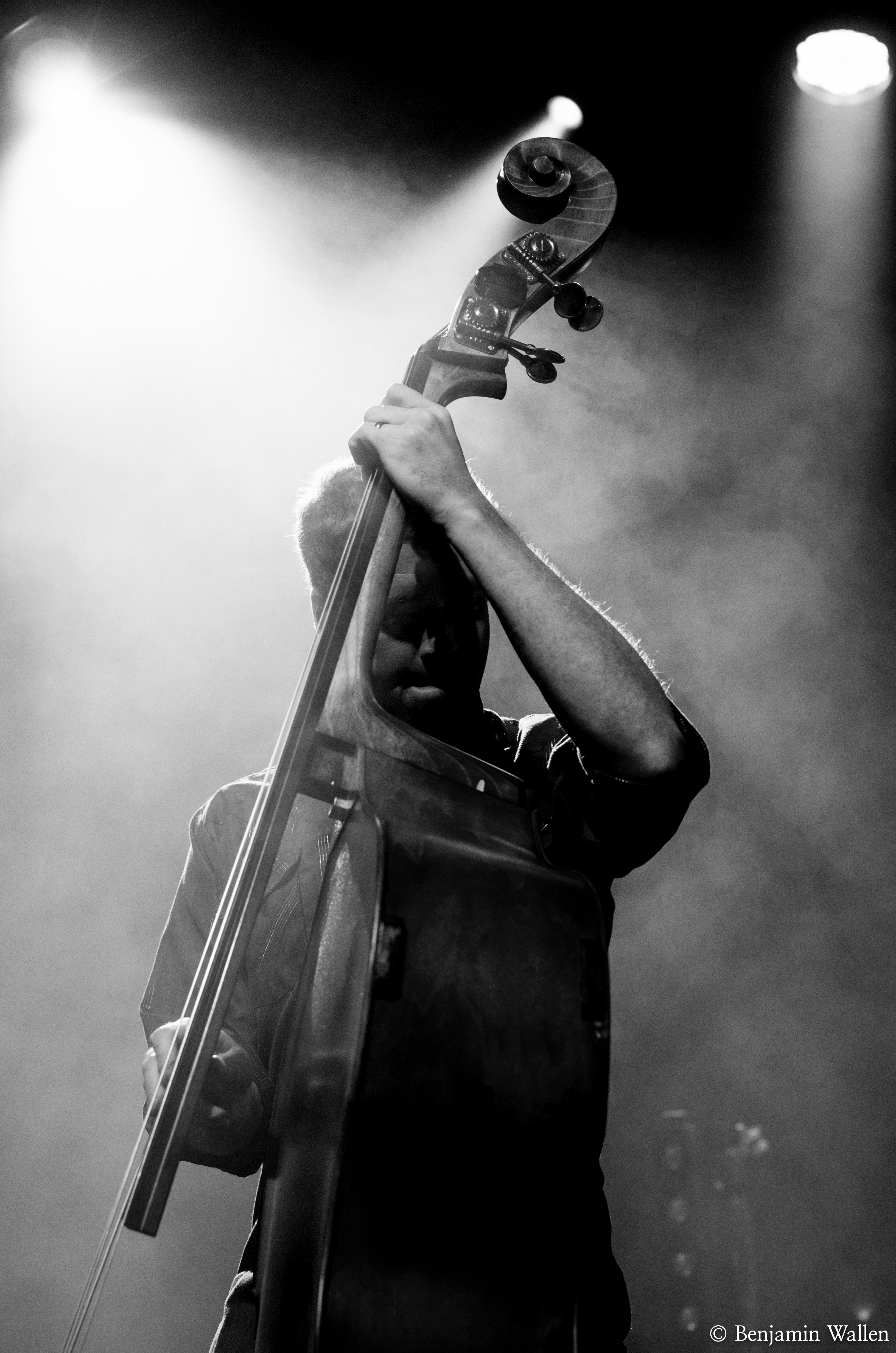 The Infamous Stringdusters