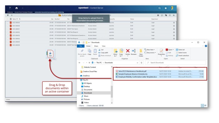 Media file processing and distribution automation scripts