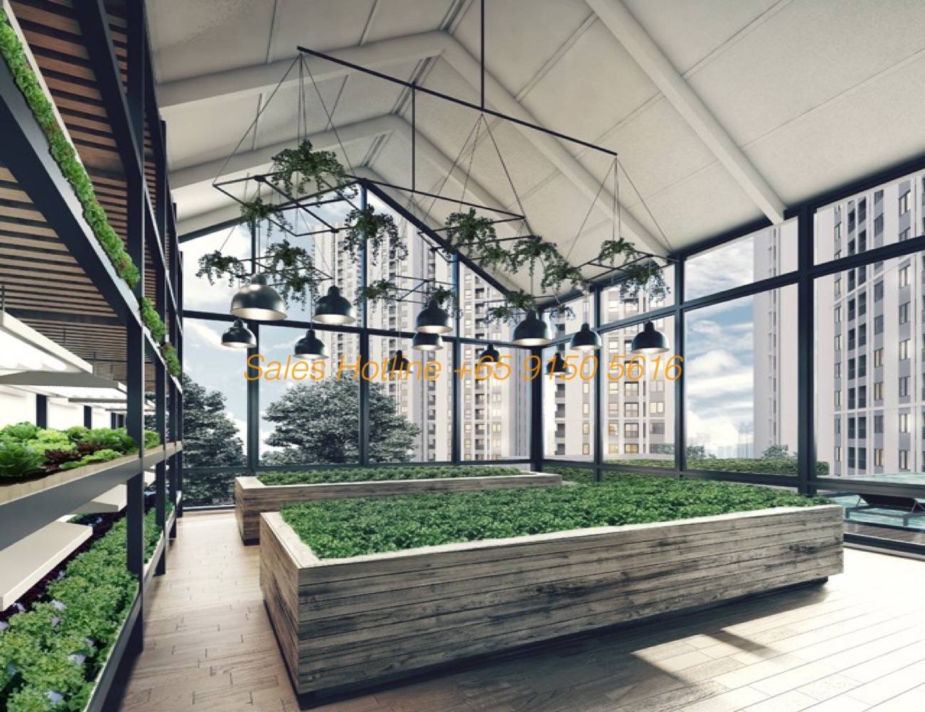 Chapter One Eco - Glasshouse