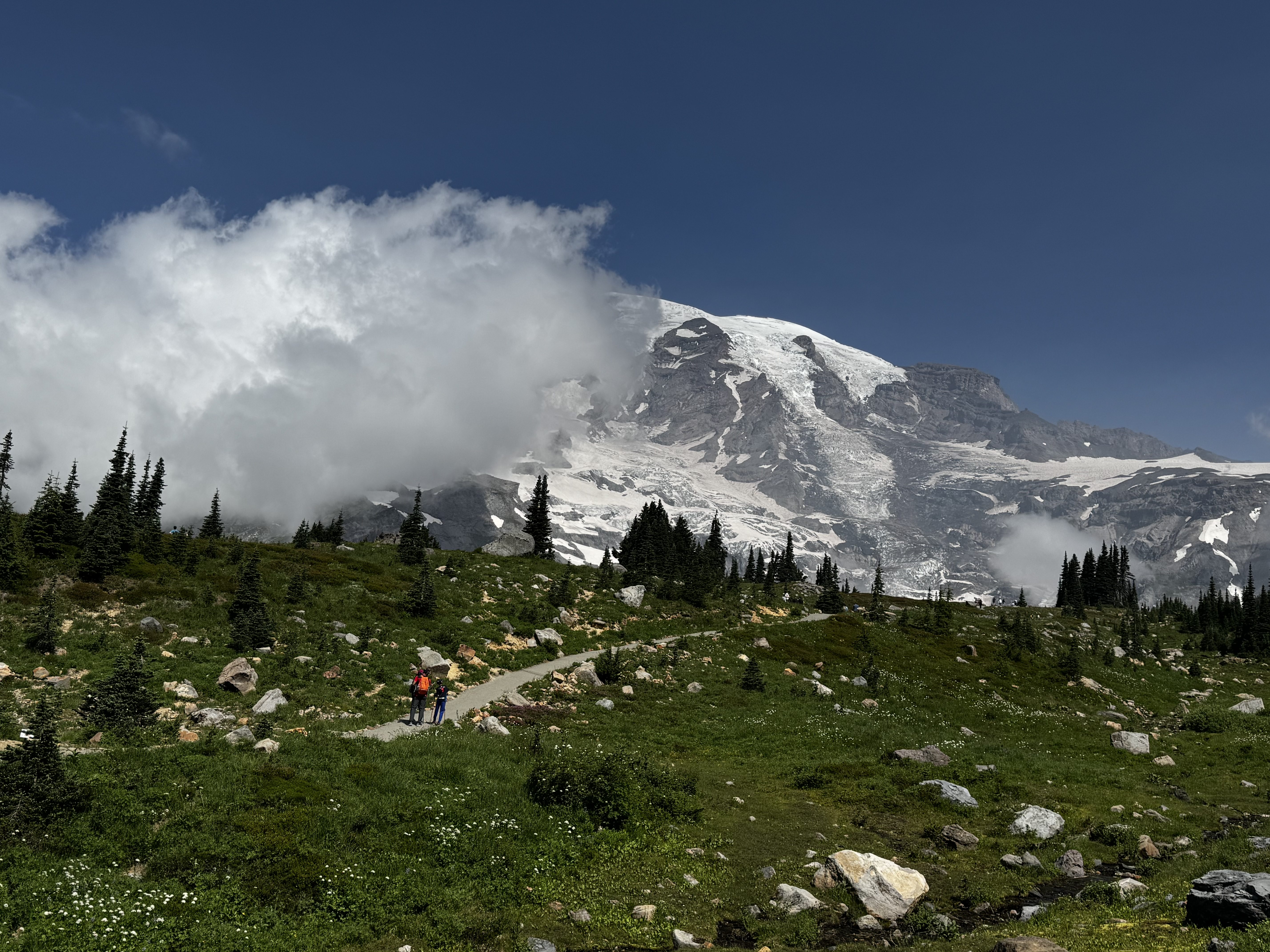 Mount Rainier – Paradise Area