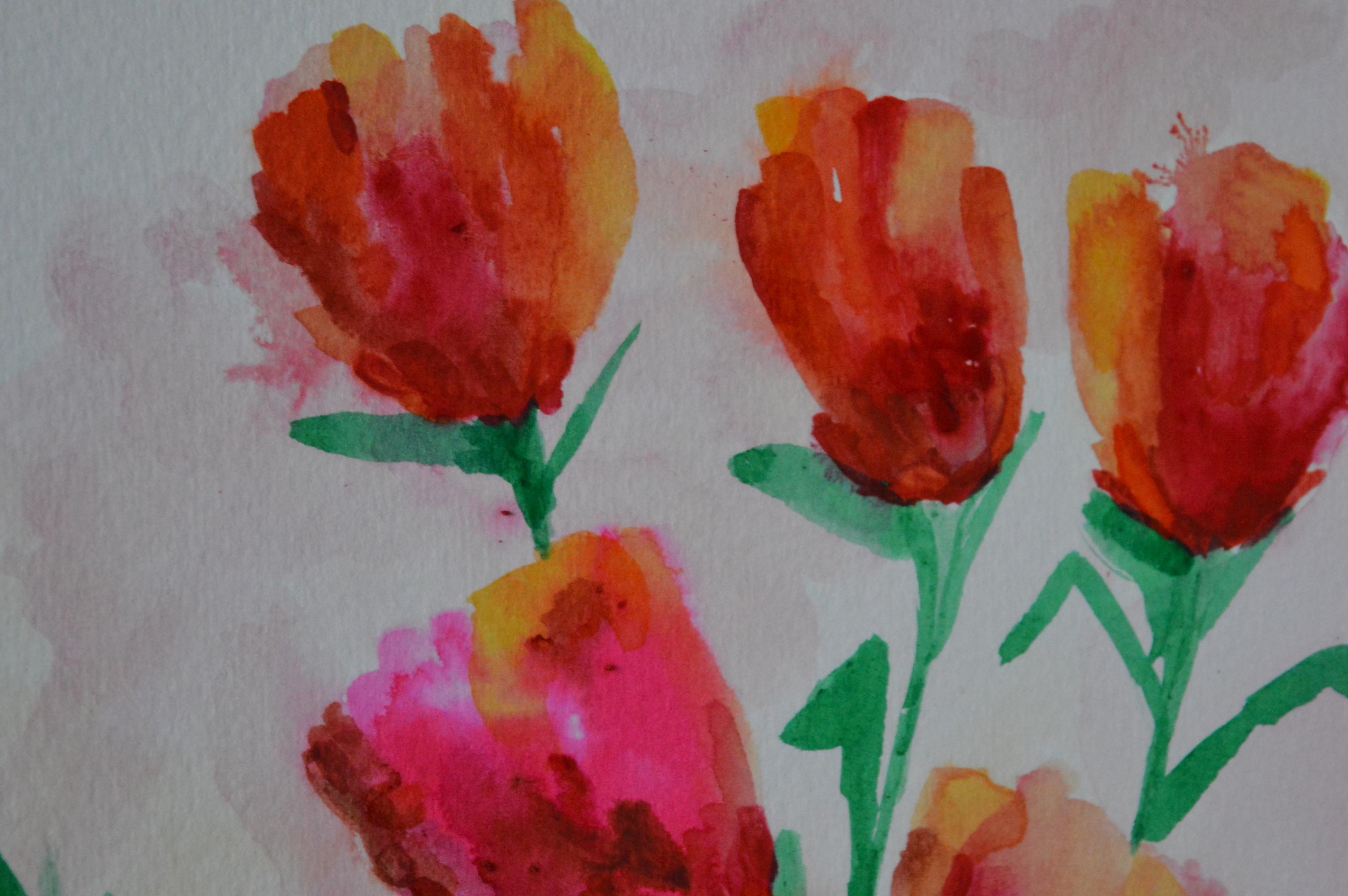 TULIP FLOWER BUNCH