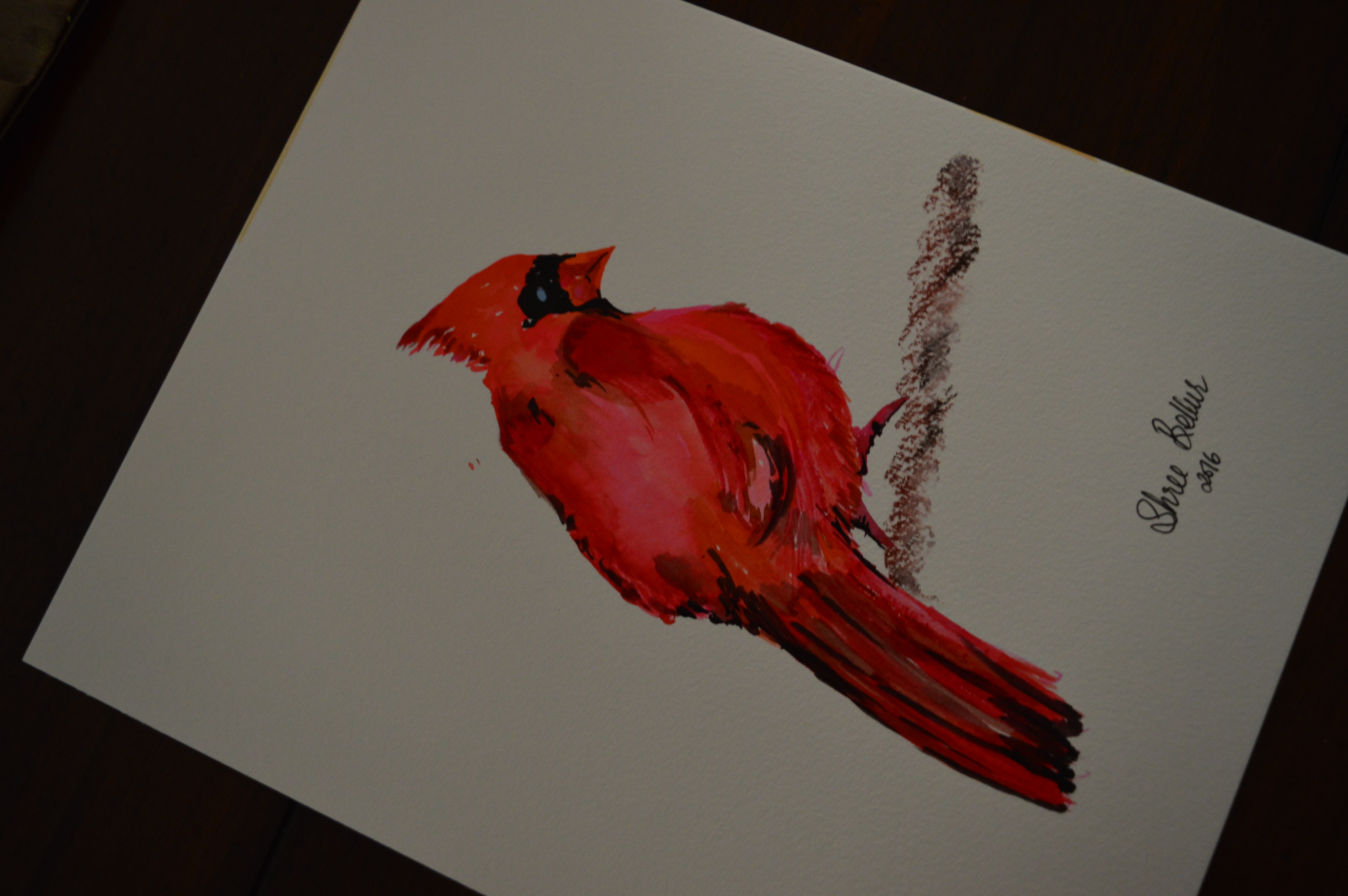Cardinal SOLD