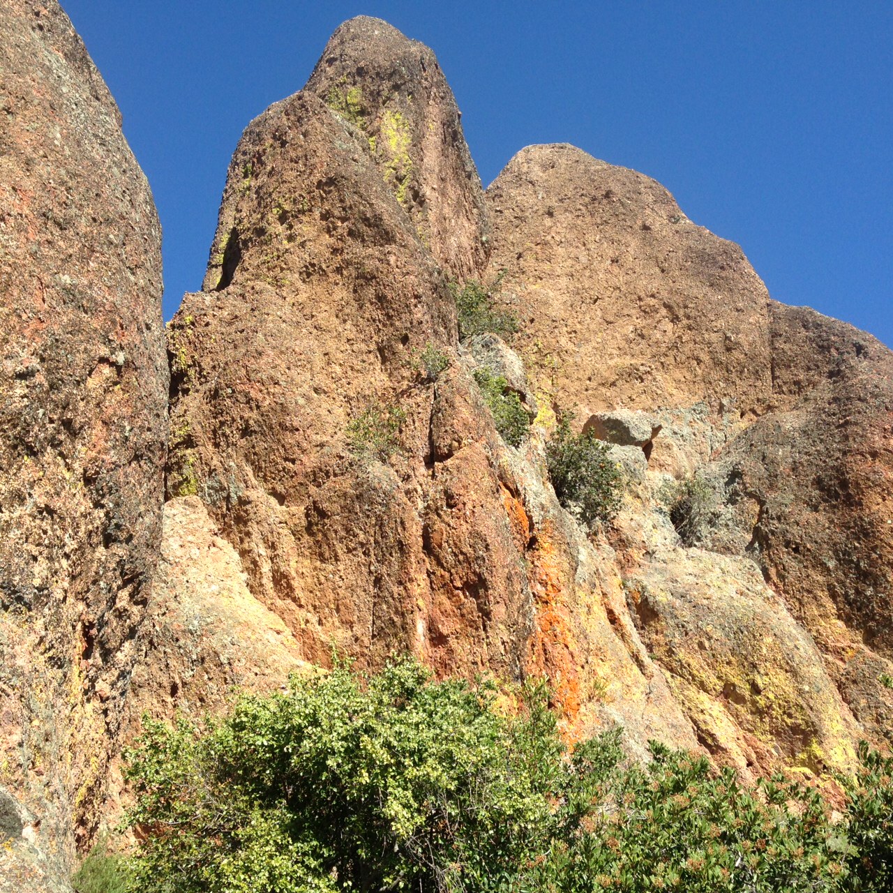 Pinnacles 4