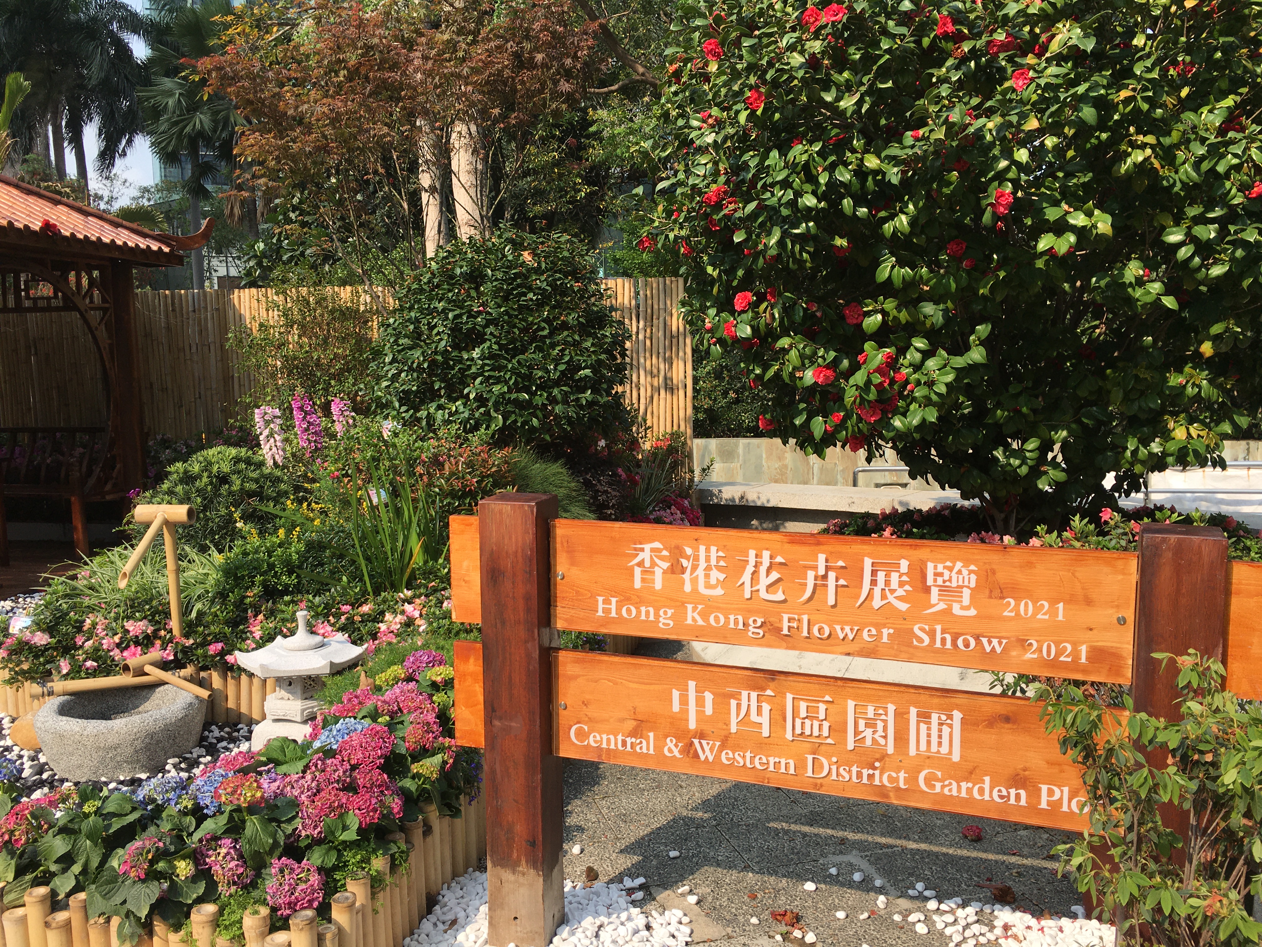 Garden plot in Chater Park, Central, on March 19, 2021. (Photos: Emily Luk)