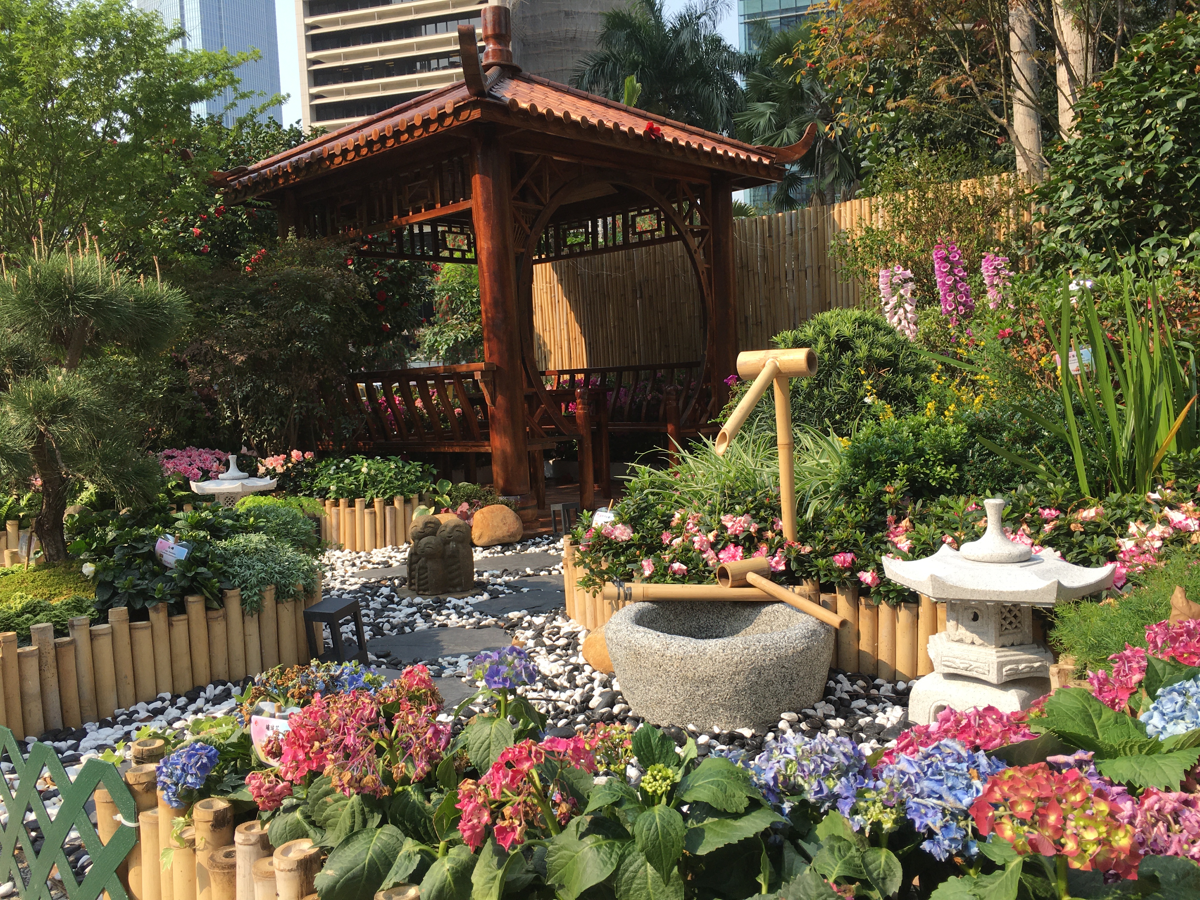 Garden plot in Chater Park, Central, on March 19, 2021. (Photos: Emily Luk)