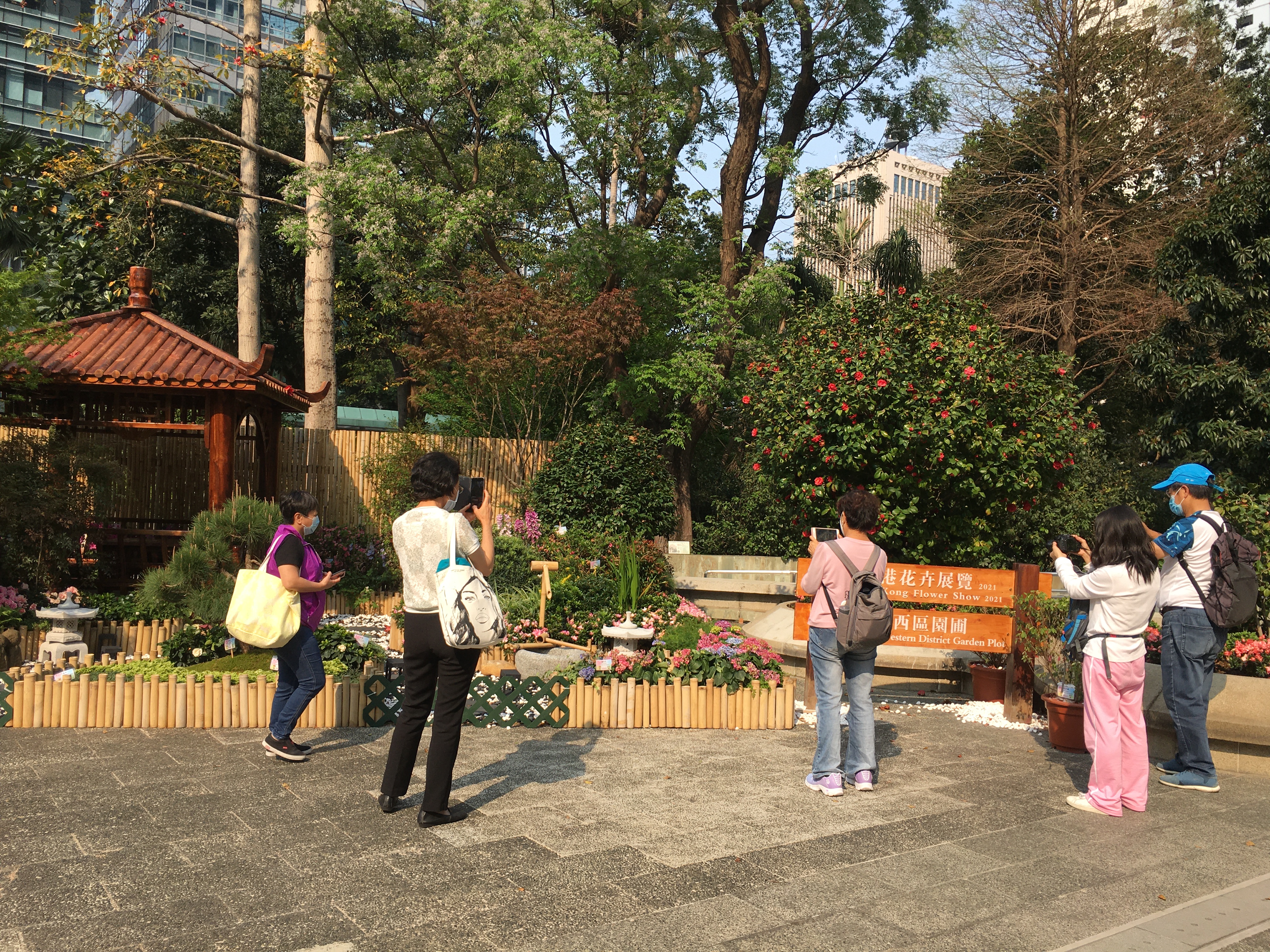 Garden plot in Chater Park, Central, on March 19, 2021. (Photos: Emily Luk)