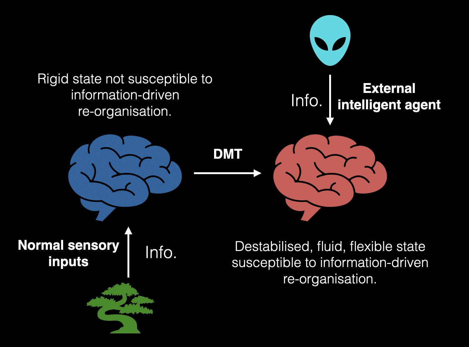 Is DMT Addictive? | Understanding, Dependence & Psychological Effects