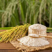 rice image