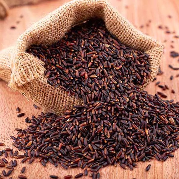 Karuppu Kavuni Rice