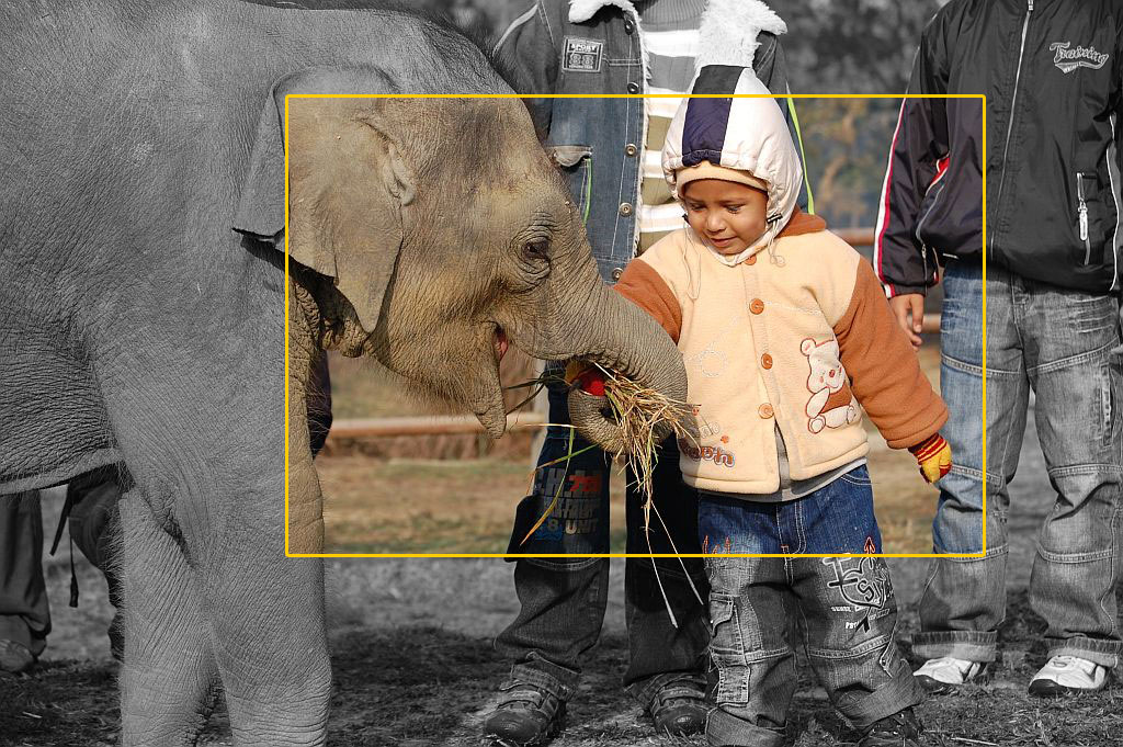 two-juvenile_large_edited