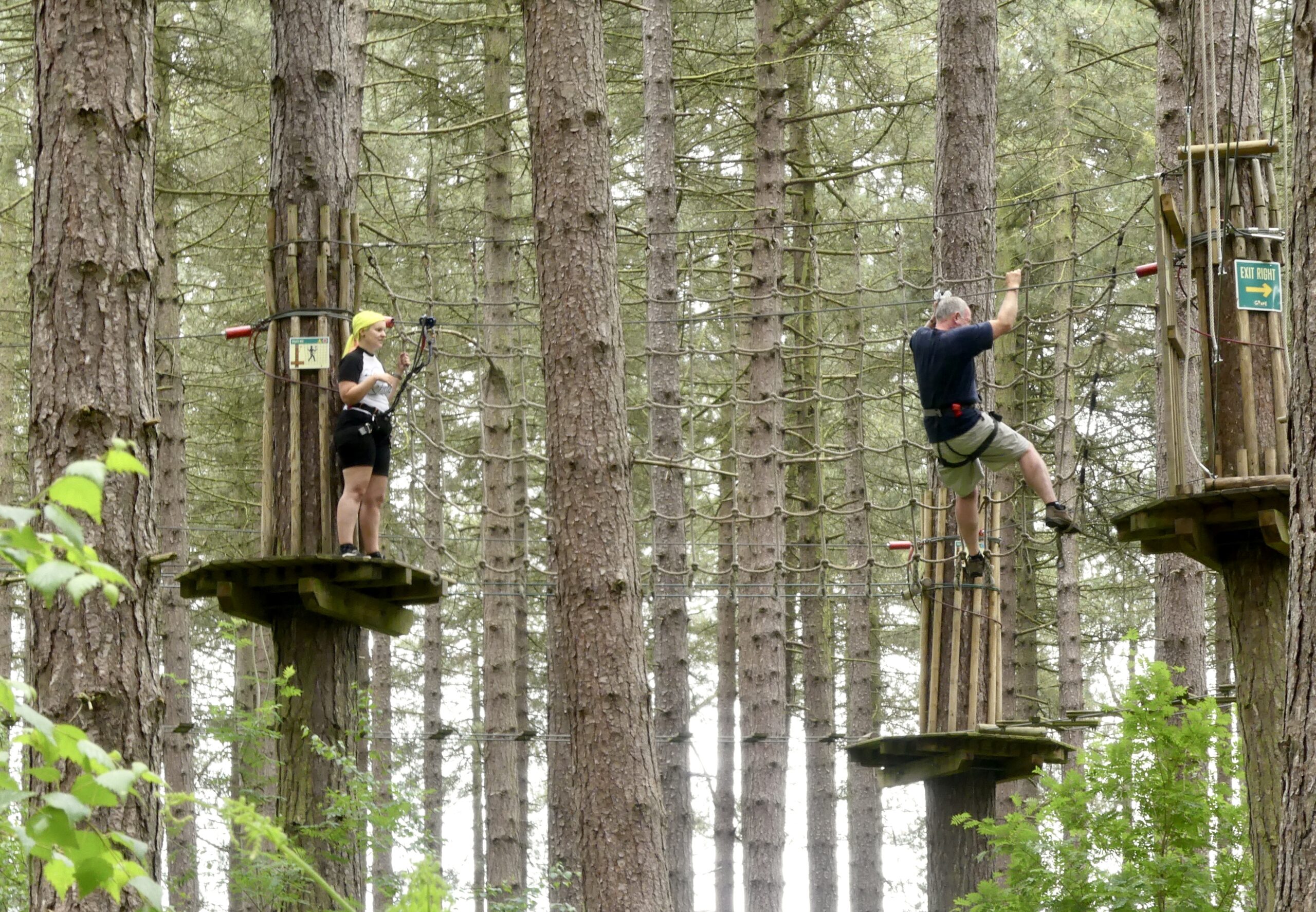 Swinging Among the Trees at Go Ape, Sherwood Pines - Shy