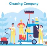 daily cleaning