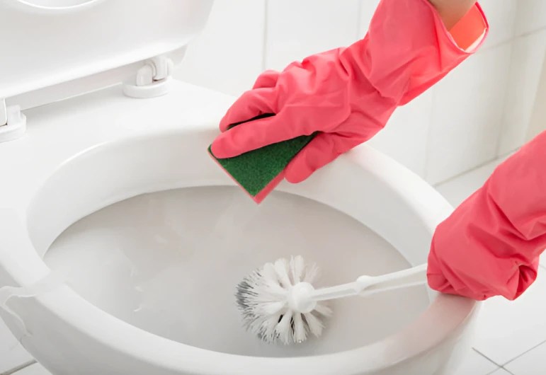 General Cleaning Toilet