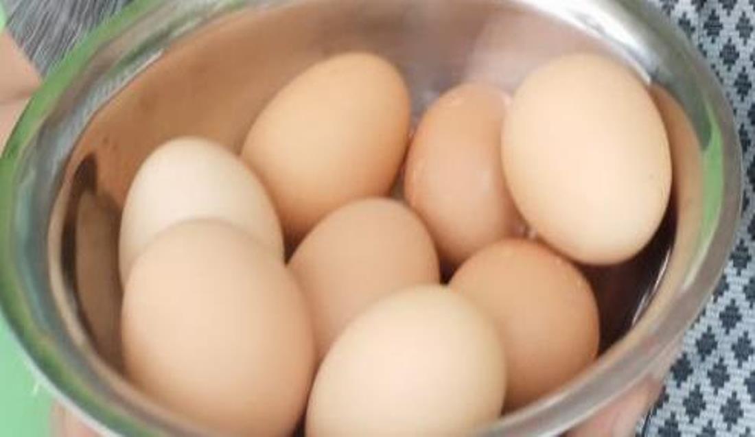 Telor kualias unggul hasil UPT UMBY.