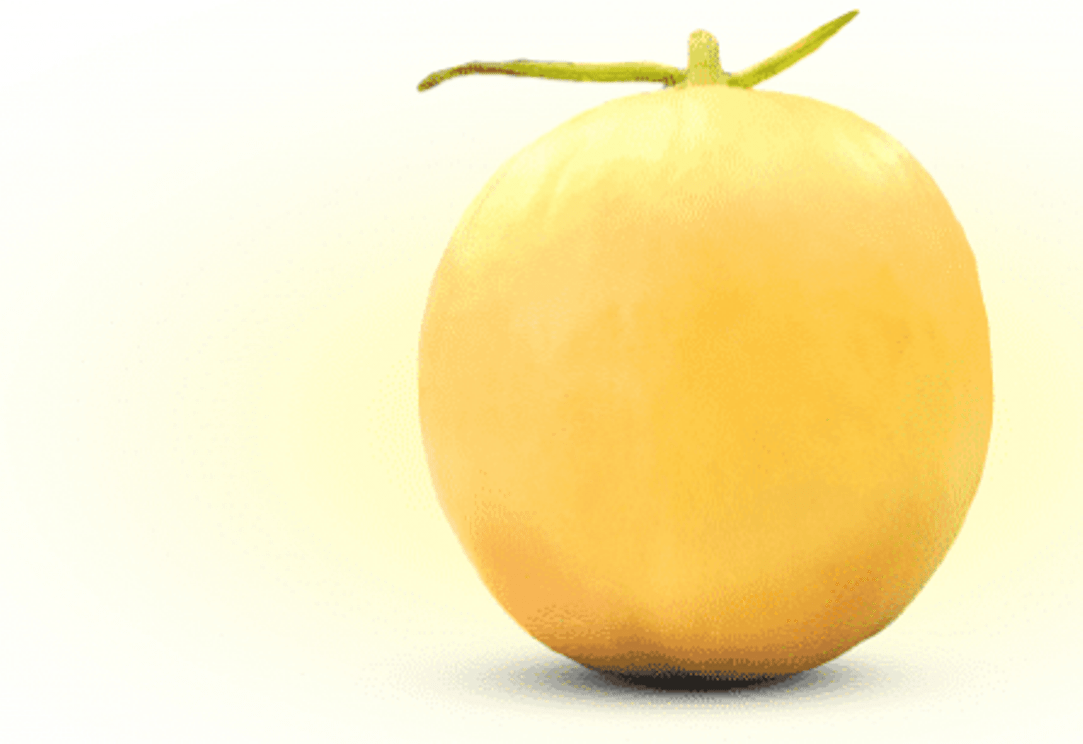 Salah satu produk 'Gama Melon'