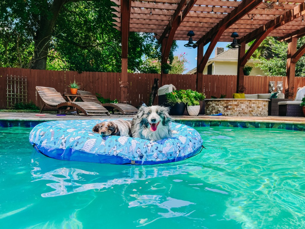 10 Things To Do As A Family During The Last Days Of Summer Dog Float