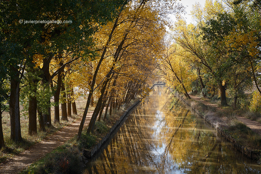 Canal de Castilla. Ramal de Campos. Medina de Rioseco. Valladolid. Castilla y León. España. © Javier Prieto Gallego;