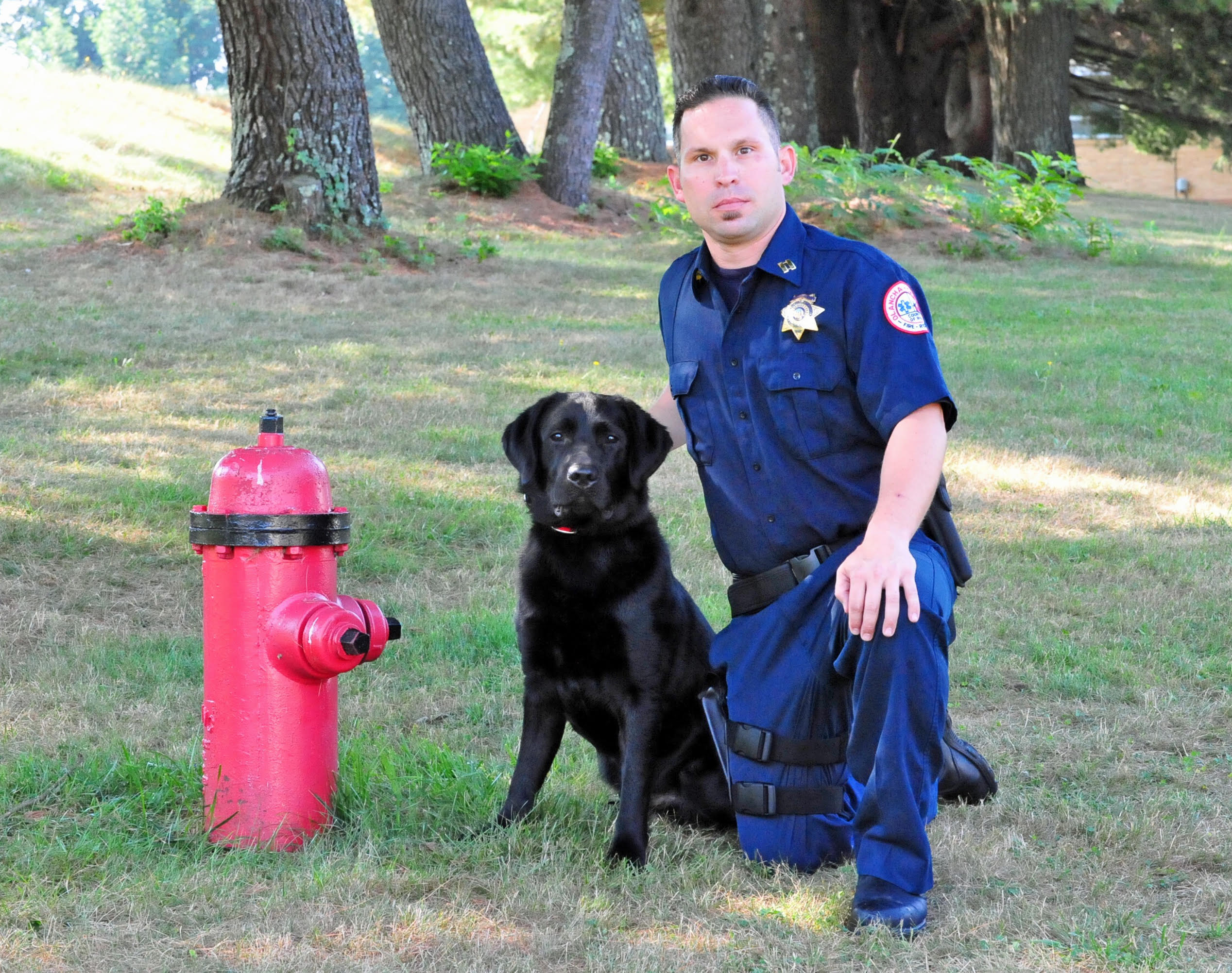 accelerant detection canine for sale