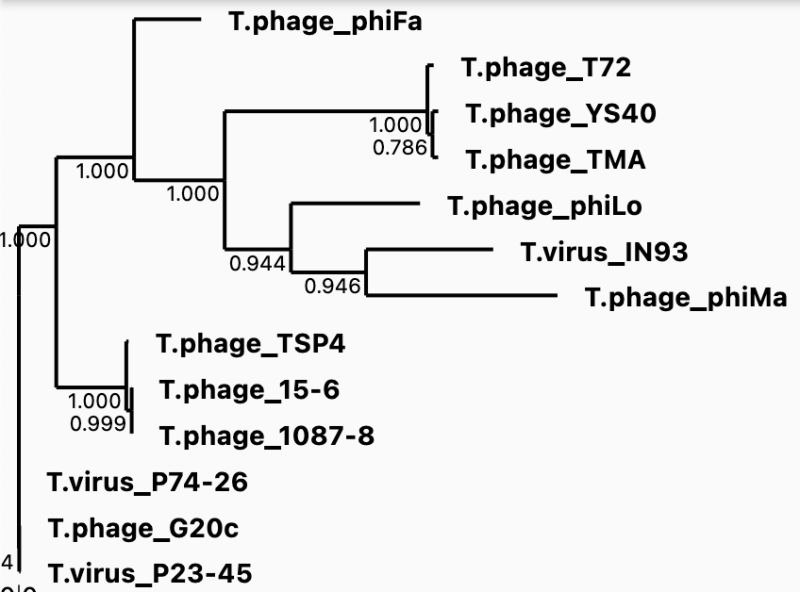 Home Oshelton Github Io - Sunset Art Collection - 4K Quality