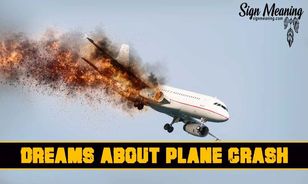 Dreams about plane crash