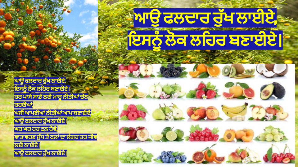 ਆਉ ਫਲਦਾਰ ਰੁੱਖ ਲਾਈਏ,ਇਸਨੂੰ ਲੋਕ ਲਹਿਰ ਬਣਾਈਏ।