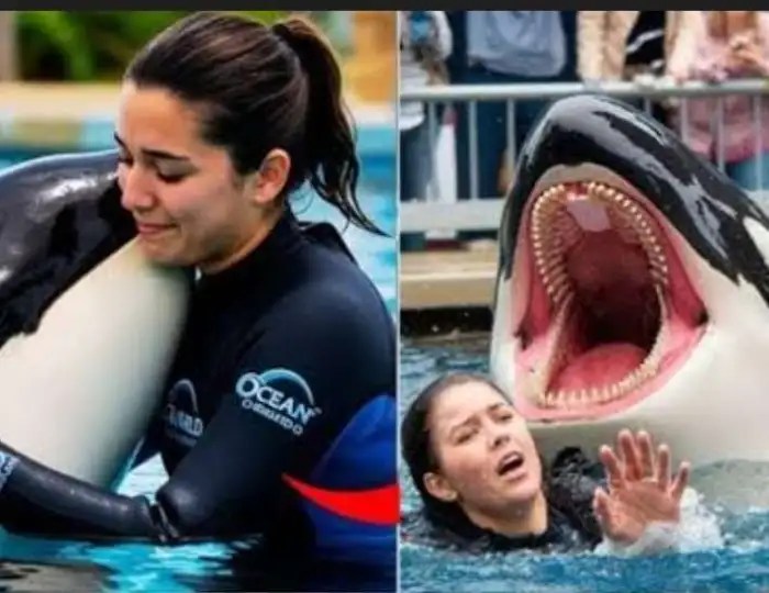 ߘߍ߬ߞߙߏߝߏ ߟߎ߬: ߞߎ߲߬ߘߐ߬ߕߍ߰ ߞߎߡߊ ߘߏ߫ ߦߋ߫ ߝߌߙߌ߲ߝߌߙߌ߲ ߞߊ߲ ߖ߭ߋߛߌߞߊ߫ ߕߐ߮ ߘߏ߫ ߟߊ߫ « ߛߦߊ߬ » ߞߏ ߘߌ߫