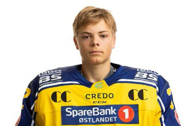 Storhamarhistorikk