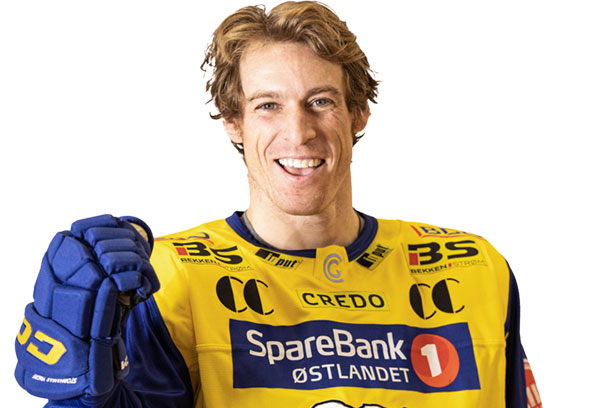 Storhamarhistorikk