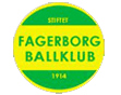 Storhamarhistorikk