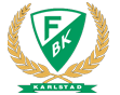 Storhamarhistorikk