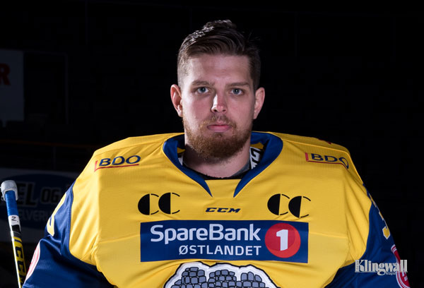 Storhamarhistorikk