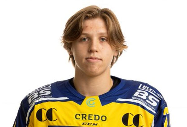 Storhamarhistorikk