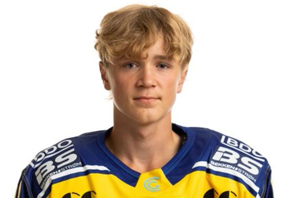 Storhamarhistorikk